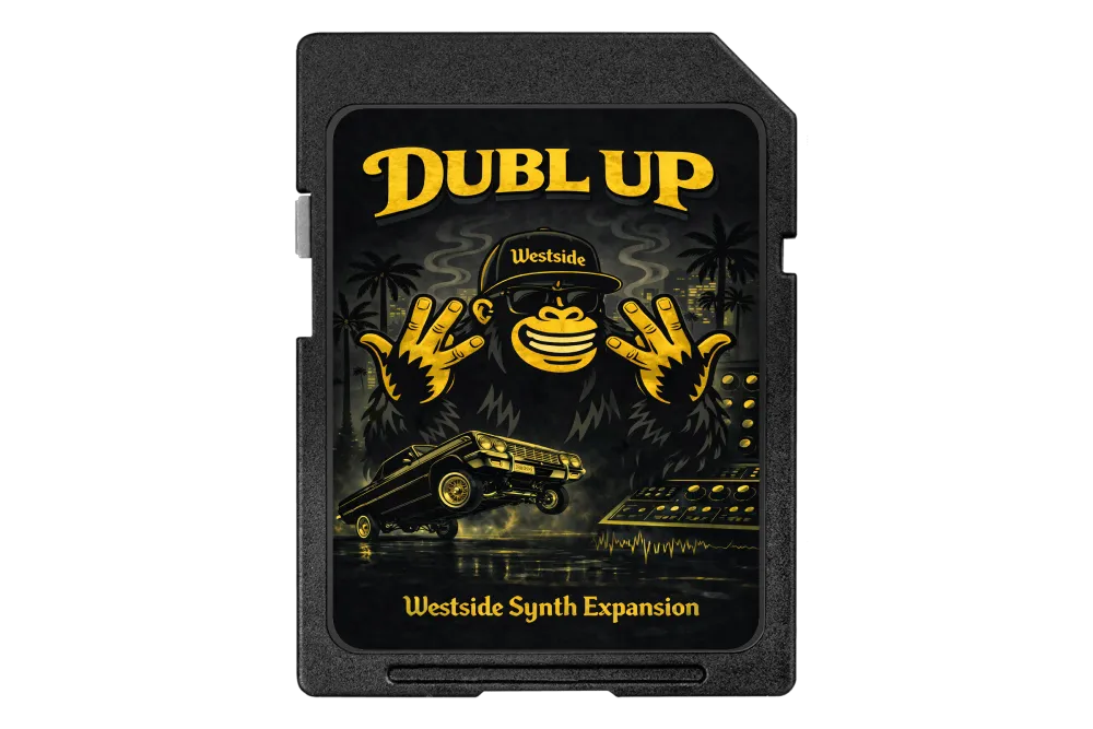 DUBL UP (WESTSIDE VST EXPANSION) plugin interface