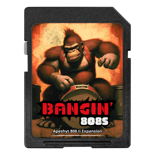 BANGIN-808S-EXP